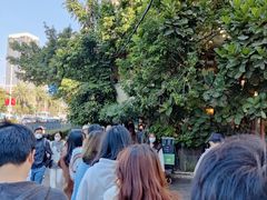 -野草莓自由市场