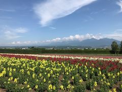 -富田农场