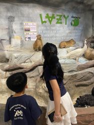 -Zoolung Zoolung动物主题公园(海信广场店)