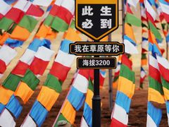-祁连山草原