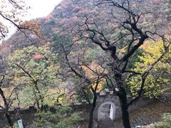-北京鹫峰国家森林公园