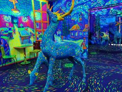 -天津梵高星空艺术馆(天河城旗舰店)