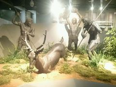 android_upload_pic-北京周口店北京人遗址博物馆