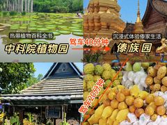 -西双版纳傣族园