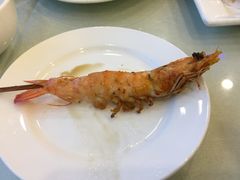 -陶然饺子城(奥体中路店)