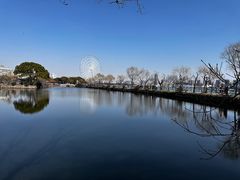 -无锡蠡湖国家湿地公园-蠡园