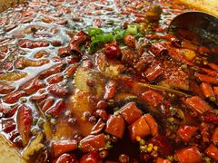 -青城甲(青城山店)