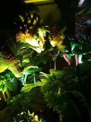 -恐龙探索乐园(磁器口店)