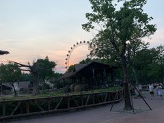 -上海野生动物园