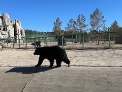 -鄂尔多斯野生动物园
