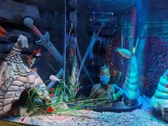 -沈阳海洋探索中心