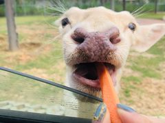 -南京金牛湖风景区