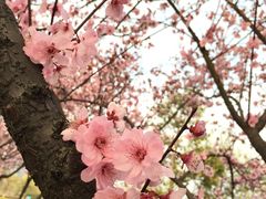 -白塘生态植物园