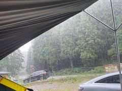 -武陵山森林公园