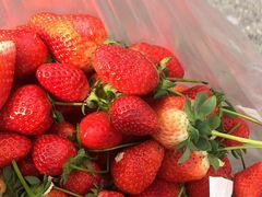 -家辉生鲜超市(东五路店)