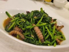 虾爬肉炒菠菜-双井轩(双井店)