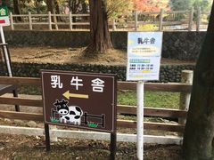 -神户市立六甲山牧场