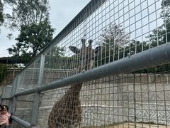 -泉州海丝野生动物世界