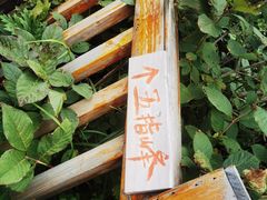 -白草畔自然风景区