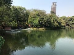 -百林公园-两江幸福广场