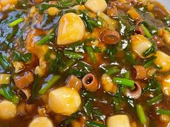 -鲁前海沿儿