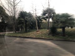 -胜华驾校·小猫学车(银都店)
