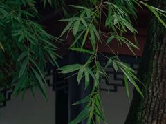 -古琴台