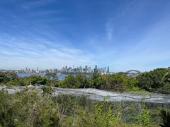 -悉尼海港大桥