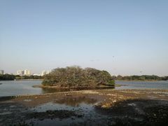 -海珠湖公园
