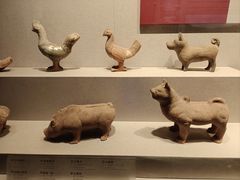 -四川宋瓷博物馆