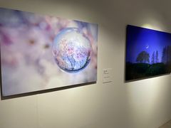 -西武百货(池袋总店)