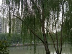 -怡海公园(桂城街道)