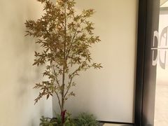 -青岛海滨风景区