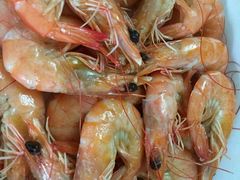 -阿姨来了家政·月嫂育儿嫂保姆(黄浦区店)