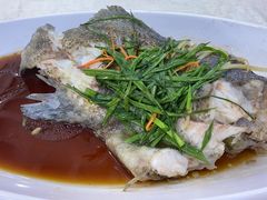 清蒸石斑鱼-锐记美食店·现捞海鲜(闸坡店)