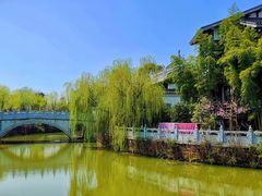 -八大山人梅湖景区