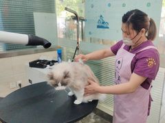 -暖阳宠物医院·犬猫康复中心·骨科