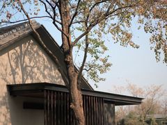 -木守西溪溪隐餐厅