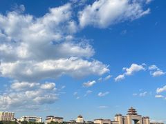 -莲花池公园