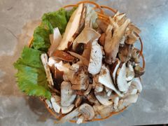 -易门野生菌府·菌海森林(月牙潭公园店)