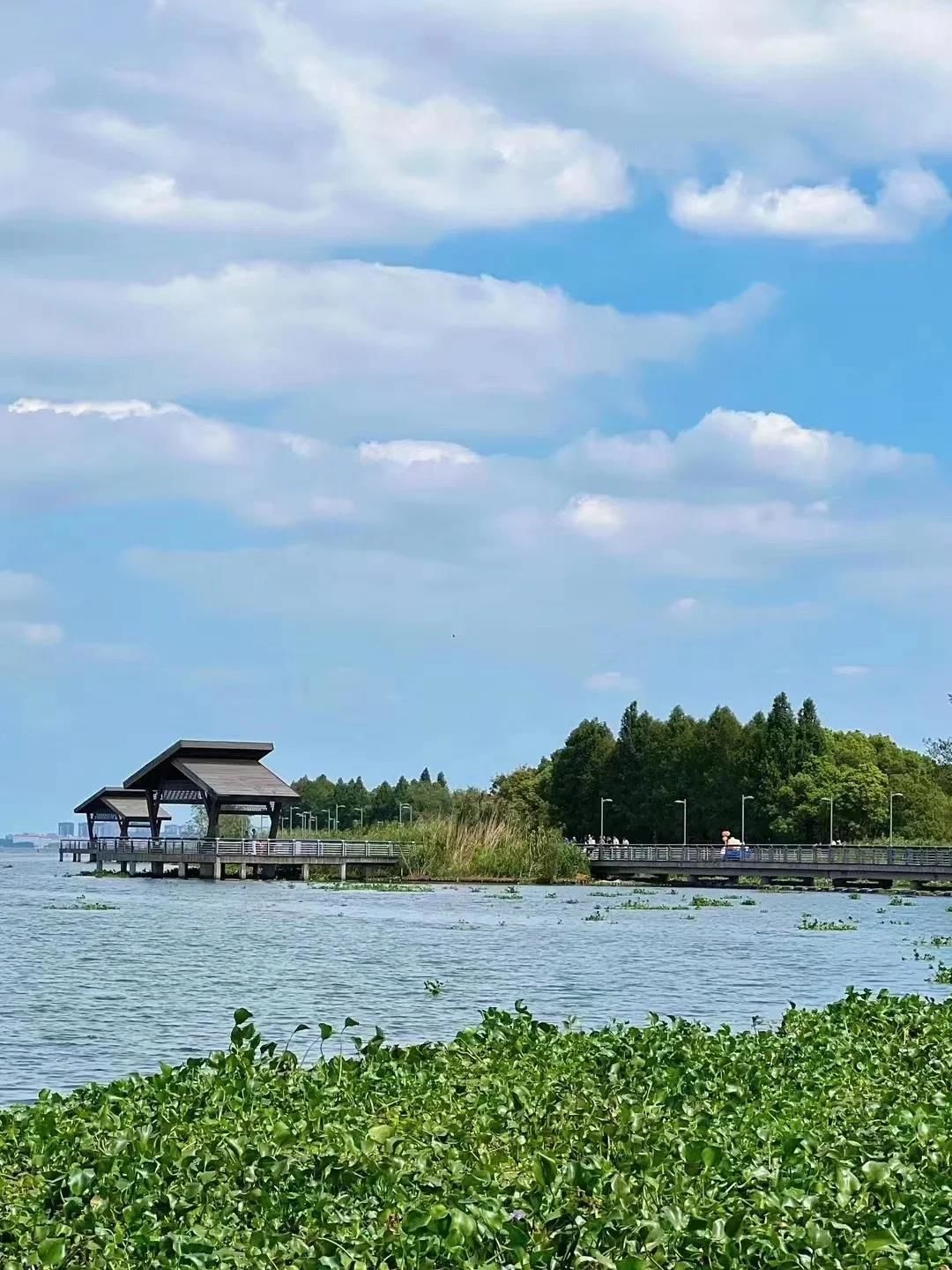 阳澄湖,一个让人流连忘返的地方.不仅因为