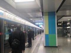 -宋家庄(地铁站)