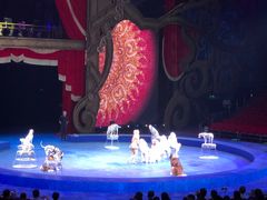 -珠海横琴长隆《卡卡虎奇遇记》