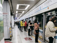 -东方体育中心(地铁站)