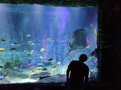 -沈阳海洋探索中心