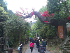 android_upload_pic-德庆盘龙峡生态旅游区