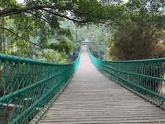 -南宁良凤江国家森林公园