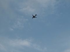 -重庆海昌加勒比海水世界