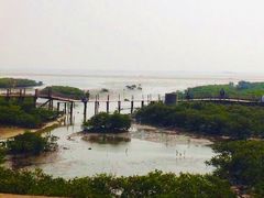 -北海金海湾红树林生态旅游区