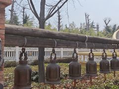 -洛阳白马寺